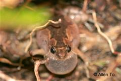male 2