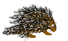 porcupine logo