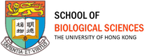 School of Biological Sciences, The University of Hong Kong