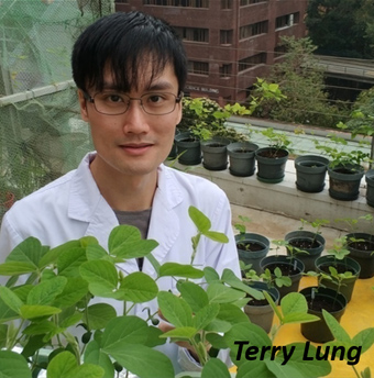 Terry Lung