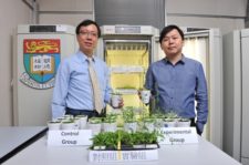 HKU botanists discover a new plant growth technology that may alleviate climate change and food shortage