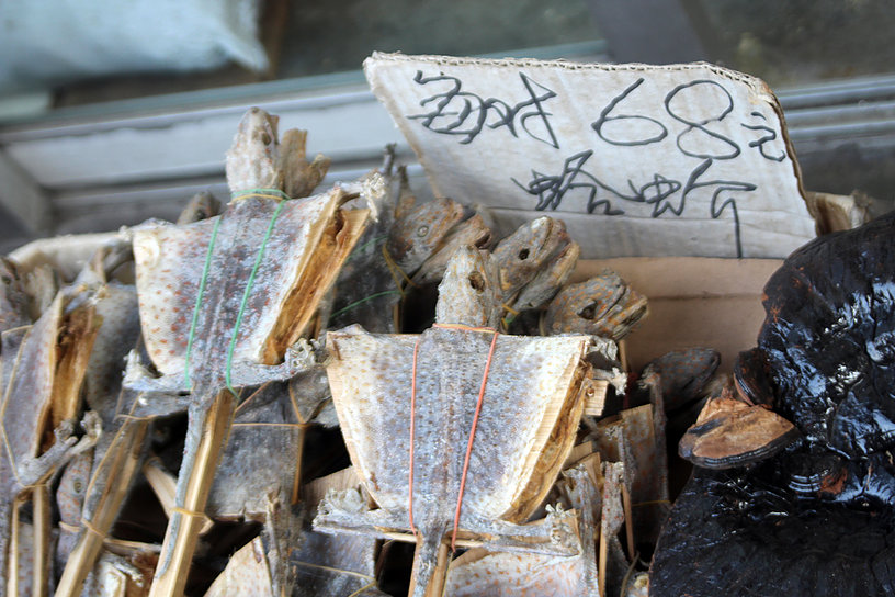 Dried reptiles in Hong Kong’s markets, sold for use in TCM. Image by A. Andersson.