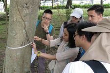 Tree Project Counts on Citizen Scientists