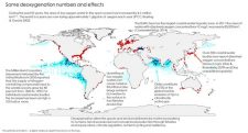 Ocean Deoxygenation: Everyone’s Problem
