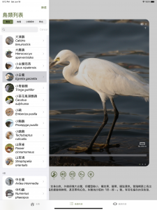 HKU ecologist and Hong Kong Bird Watching Society jointly develop “HKBirds: Birds of Hong Kong” birding app
