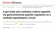 HKU biologists and collaborators reveal a gut-brain pathway that regulates sodium appetite