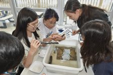 HKU Swire Institute of Marine Science Launches Youth Programme to Cultivate Future Ocean Stewards