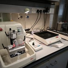 Histology Facilities